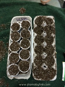 Gardening with the Toddler dirt in egg carton